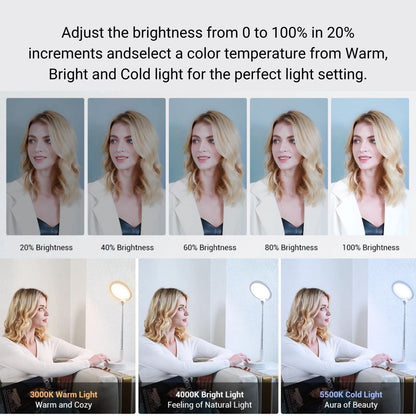 iPad, Tablet and Dual Phone LED Light Stand brightness